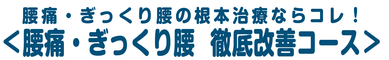 PIMバランス整復コース