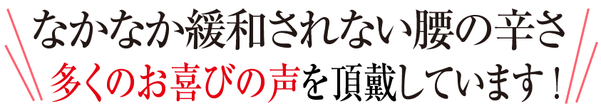 腰痛・ヘルニア・坐骨神経痛効果を実感しています！