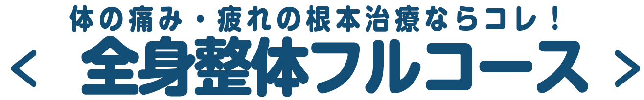 PIMバランス整復コース